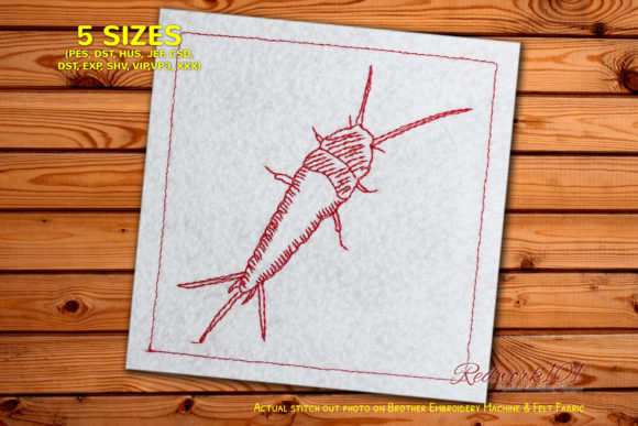 Charming Common Apterygota for Handmade Gifts
