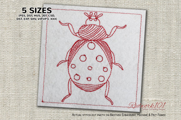 Charming Spoted Coccinellidae Lineart for Holidays